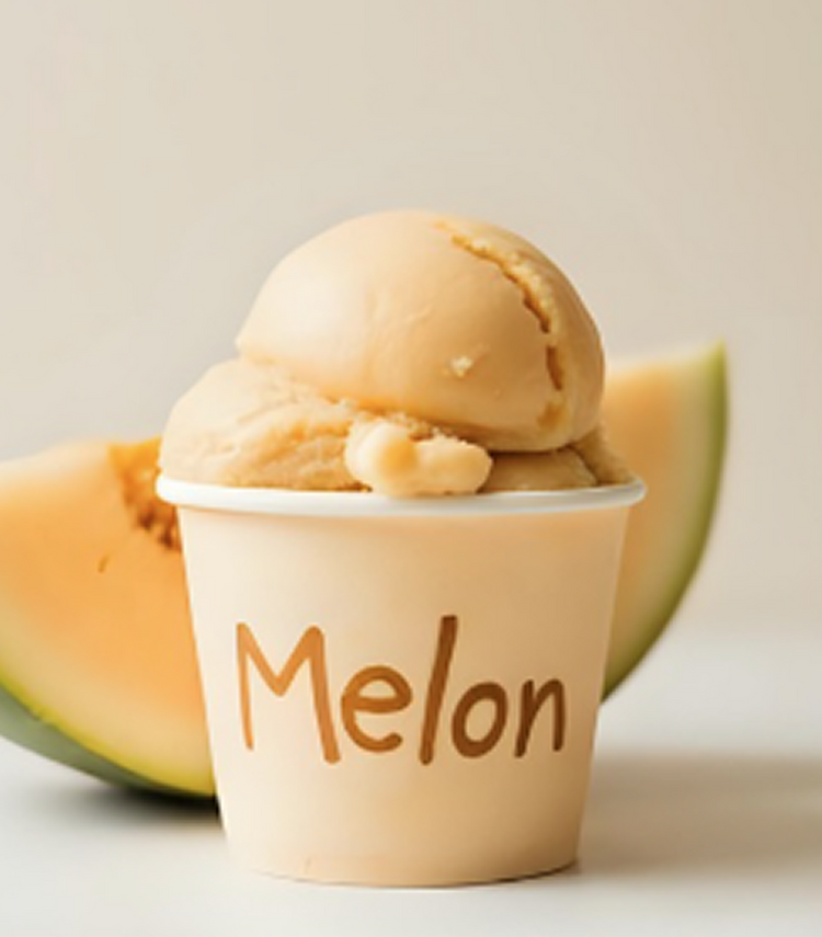Melon Sorbet - DSI