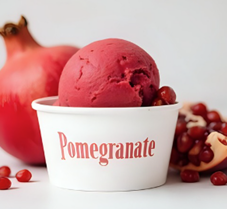 Pomegranate Sorbet - DSI
