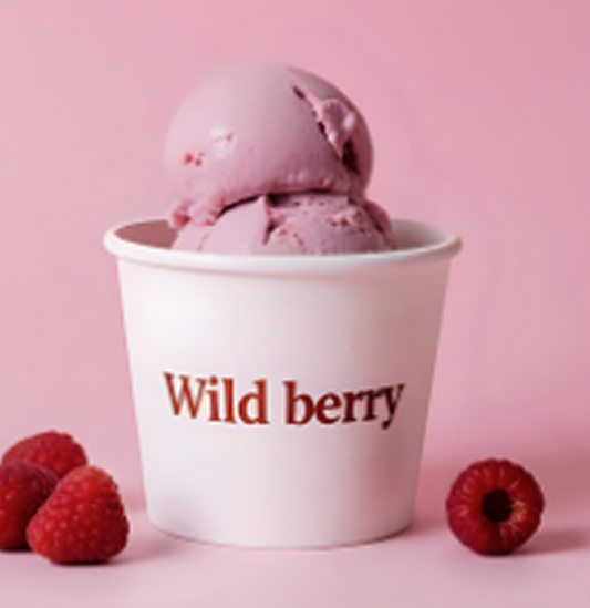 Wild Berry Sorbet - DSI