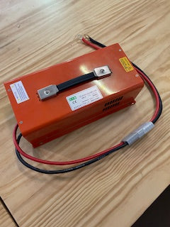 Battery Cart Charger